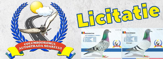 https://www.columbofil.net/index.php?act=licitatii&id=1798